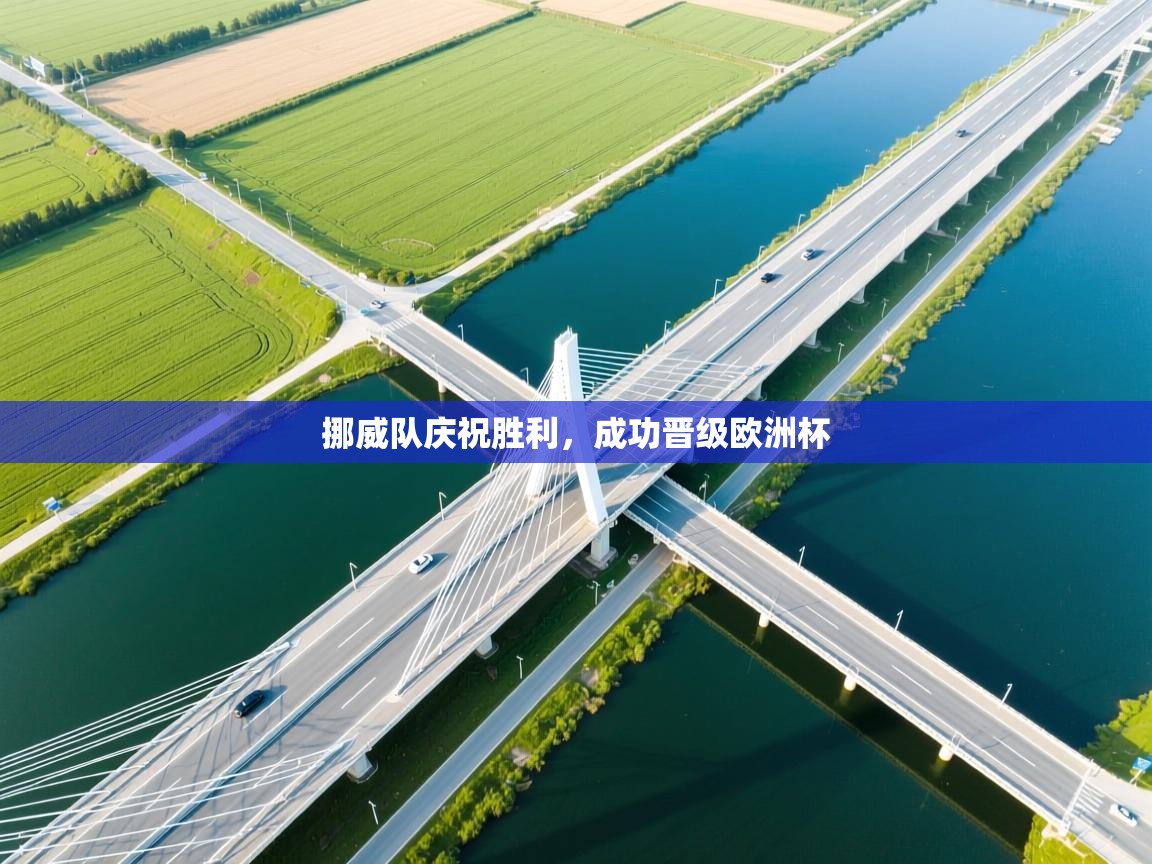 挪威队庆祝胜利,成功晋级欧洲杯 第1张