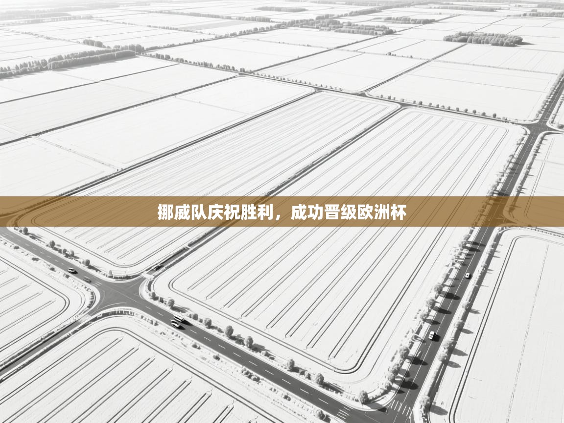 挪威队庆祝胜利,成功晋级欧洲杯 第2张