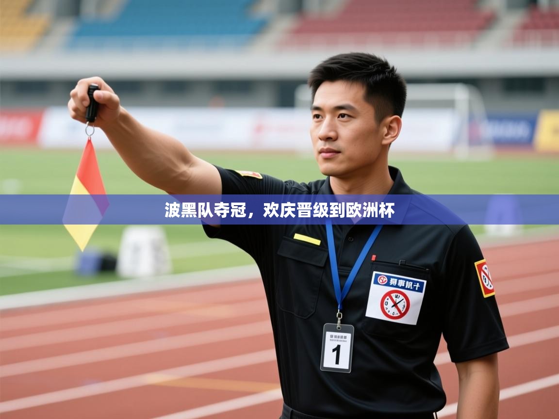 波黑队夺冠,欢庆晋级到欧洲杯 第2张