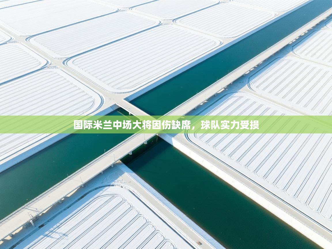 国际米兰中场大将因伤缺席,球队实力受损 第1张