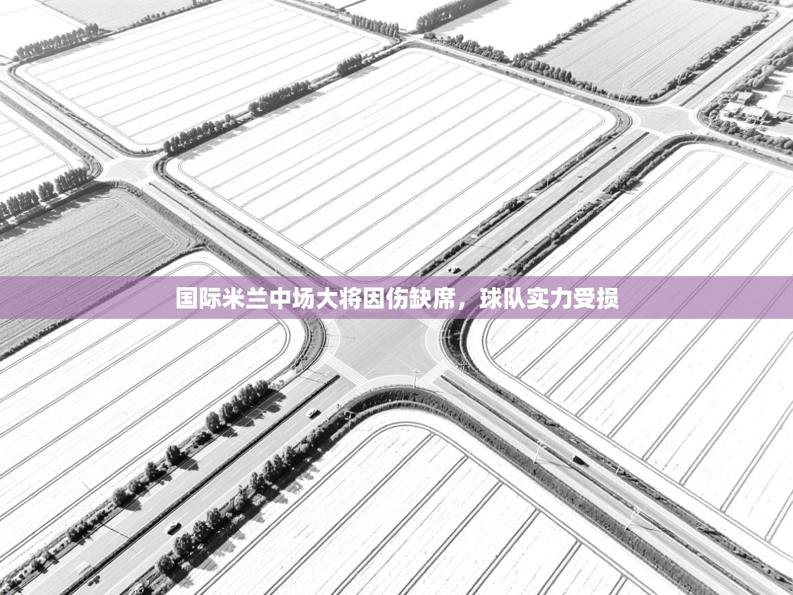 国际米兰中场大将因伤缺席,球队实力受损 第2张