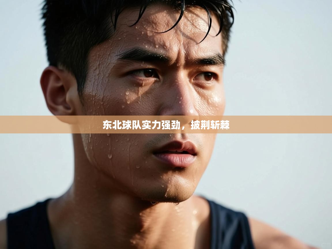 东北球队实力强劲，披荆斩棘  第2张
